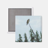 オスプレイ9028 マグネット (正面/裏面)