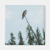 オスプレイ9028 マグネット (正面)