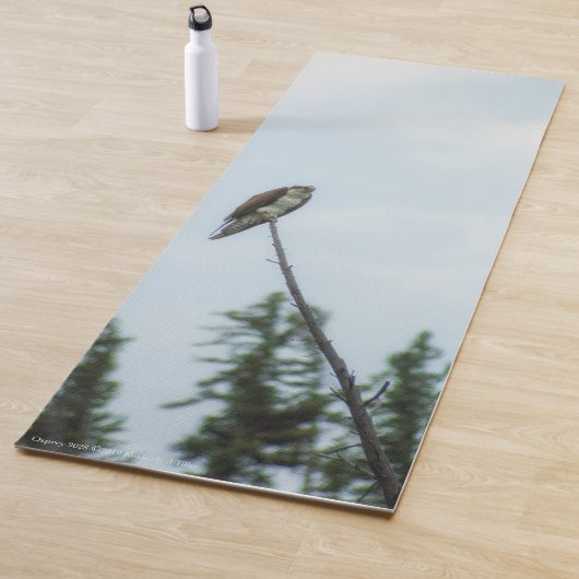 オスプレイ9028 ヨガマット (インサイチュ)