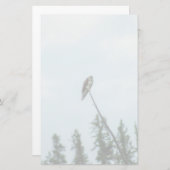 オスプレイ9028 便箋 (正面/裏面)