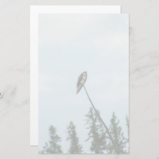 オスプレイ9028 便箋 (正面/裏面)