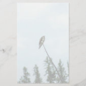 オスプレイ9028 便箋 (正面)