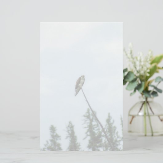 オスプレイ9028 便箋 (スタンド正面)