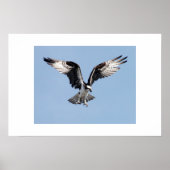 オスプレイ ポスター (正面)