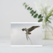 オスプレイ ポストカード (スタンド正面)