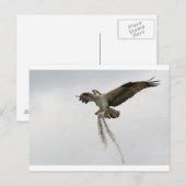 オスプレイ ポストカード (正面/裏面)