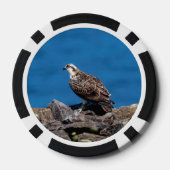 オスプレイ ポーカーチップ (裏面)