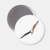 オスプレイ マグネット (正面/裏面)