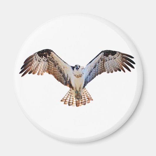 オスプレイ マグネット (正面)