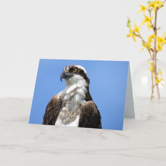 オスプレイ(4964) カード (黄色い花)