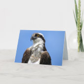 オスプレイ(4964) カード (正面)