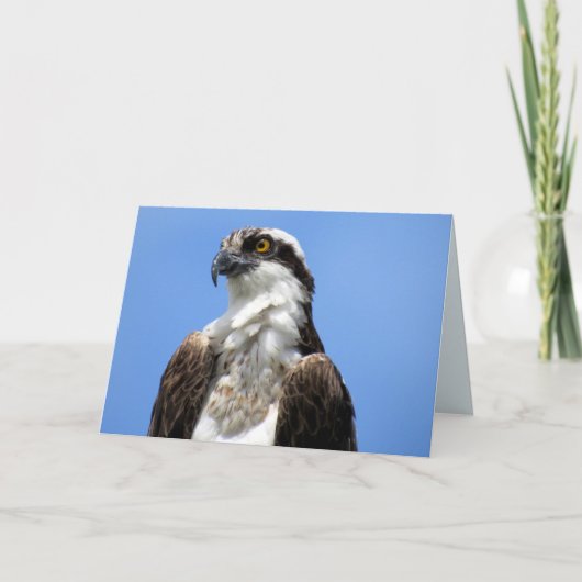 オスプレイ(4964) カード (正面)