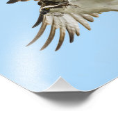 オスプレイUnfurled 8x10プリント フォトプリント (角)