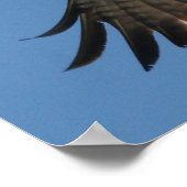 オスプレラプターバード&ハリバーブフィッシュプリント ポスター (角)