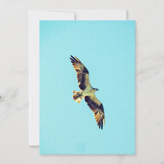 オスプレーのアート 招待状 (正面)