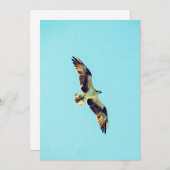 オスプレーのアート 招待状 (正面/裏面)