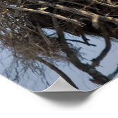 オスプレーネスト ポスター (角)