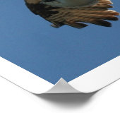 オスプレーバード&ハリバッシュフィッシュプリント ポスター (角)