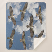 オスプレーパレードin the skyシェルパフリースブランケット シェルパブランケット (正面)