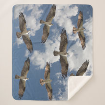 オスプレーパレードin the skyシェルパフリースブランケット