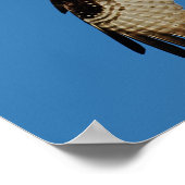 オスプレーホバリング ポスター (角)