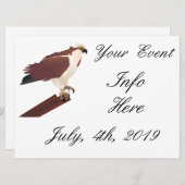 オスプレーホークラプターサンダー_コーブ (正面/裏面)