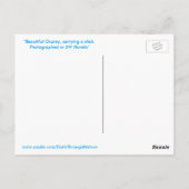 オスプレー飛んでいるスティックFloridaはがき ポストカード (裏面)