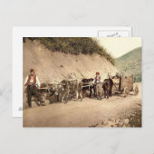 オスマン帝国 ポストカード (正面/裏面)