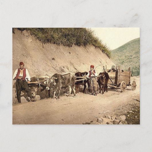 オスマン帝国 ポストカード (正面)