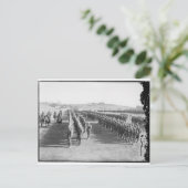 オスマン軍隊 ポストカード (スタンド正面)