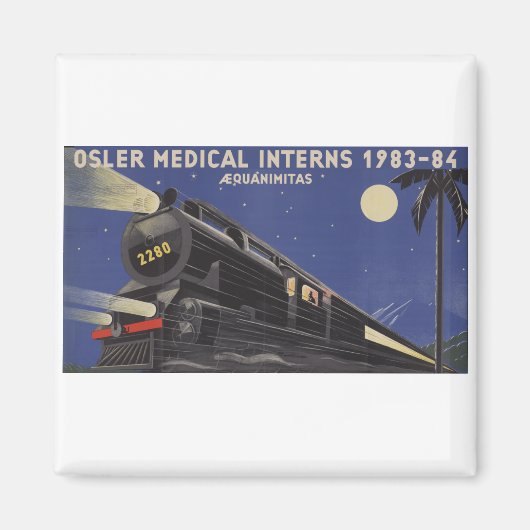 オスラー中角磁石 マグネット (正面)