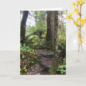 オスワルドウエスト州パーク，オレゴン州コースト カード (黄色い花)