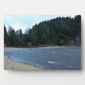 オスワルドウエスト州パーク，オレゴン州コースト フォトプラーク (正面)