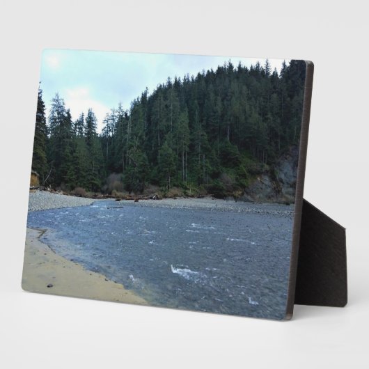 オスワルドウエスト州パーク，オレゴン州コースト フォトプラーク (側面)