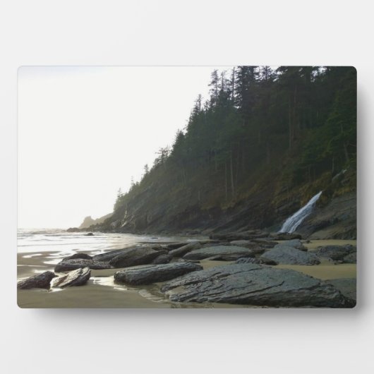 オスワルドウエスト州パーク,オレゴン州コースト フォトプラーク (正面)