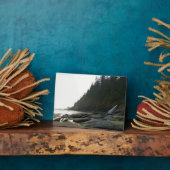 オスワルドウエスト州パーク,オレゴン州コースト フォトプラーク (側面)