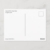 オスワルドウエスト州パーク，オレゴン州コースト ポストカード (裏面)