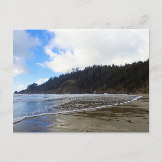 オスワルドウエスト州パーク，オレゴン州コースト ポストカード (正面)