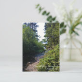 オスワルドウエスト州パーク，オレゴン州コースト ポストカード (スタンド正面)