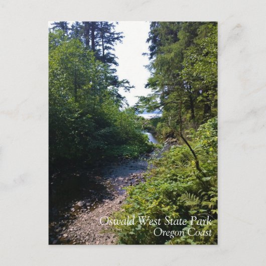 オスワルドウエスト州パーク，オレゴン州コースト ポストカード (正面)