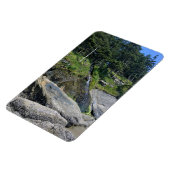 オスワルドウエスト州パーク,オレゴン州コースト マグネット (左側)