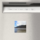 オスワルドウエスト州パーク，オレゴン州コースト マグネット (インサイチュ (食洗機))