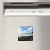 オスワルドウエスト州パーク,オレゴン州コースト マグネット (インサイチュ (食洗機))