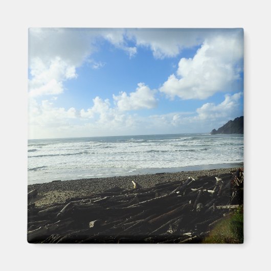 オスワルドウエスト州パーク,オレゴン州コースト マグネット (正面)