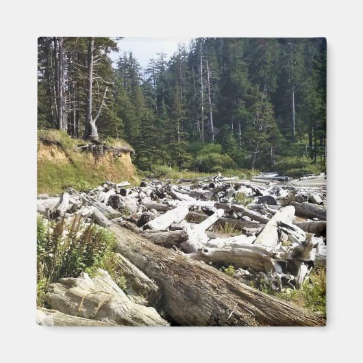 オスワルドウエスト州パーク，オレゴン州コースト マグネット (正面)