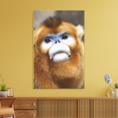 オス金猿Pygathrix roxellana キャンバスプリント (インサイチュ (リビング))