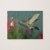 オス食べ物を与えはアリゾナ州マデラ・キャニオンにあるペチュニアにいる。 ジグソーパズル (横)