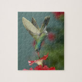 オス食べ物を与えはアリゾナ州マデラ・キャニオンにあるペチュニアにいる。 ジグソーパズル (縦)