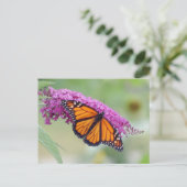 オス(昆虫)オオカバマダラ、モナークオンバタフライブッシュ ポストカード (スタンド正面)