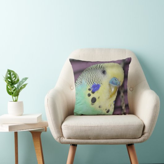 オスBudgie/のインコ クッション (椅子)